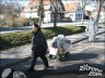 Episode 960 - Sonntag, 21. Februar 2010