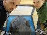 Episode 981 - Dienstag, 11. Mai 2010
