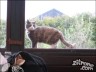 Episode 982 - Freitag, 14. Mai 2010