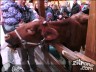 Episode 1095 - Sonntag, 27. November 2011