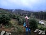 Episode 1097 - Sonntag, 4. Dezember 2011