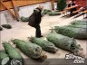 Episode 1097 - Sonntag, 4. Dezember 2011