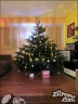 Episode 1097 - Sonntag, 4. Dezember 2011
