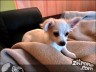 Episode 1102 - Samstag, 4. Februar 2012