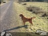 Episode 1108 - Samstag, 10. März 2012