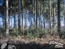 Episode 1108 - Samstag, 10. März 2012