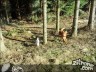 Episode 1108 - Samstag, 10. März 2012