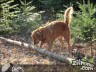 Episode 1108 - Samstag, 10. März 2012