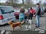 Episode 1110 - Samstag, 17. März 2012