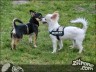 Episode 1110 - Samstag, 17. März 2012