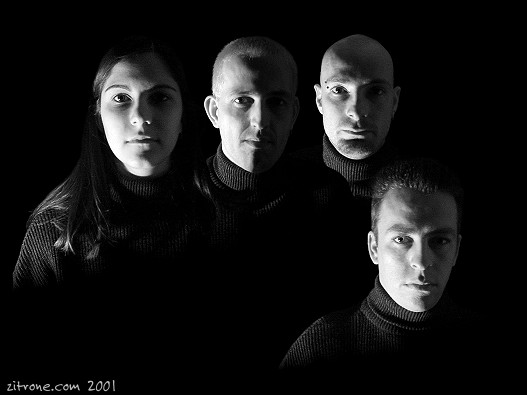 zitrone.com 2001